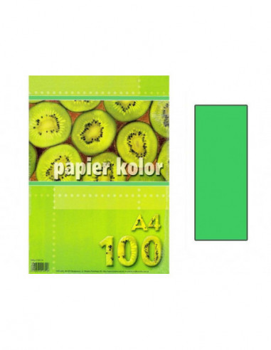 Papier farebný A4 80g  zelený sv./100ks  801190