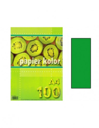 Papier farebný A4 80g  zelený tm./100ks  020799